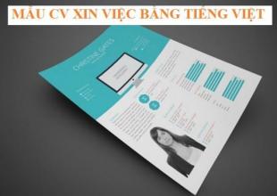 Mách bạn bí quyết cho một mẫu CV tiếng Việt hoàn hảo chỉ trong 3s